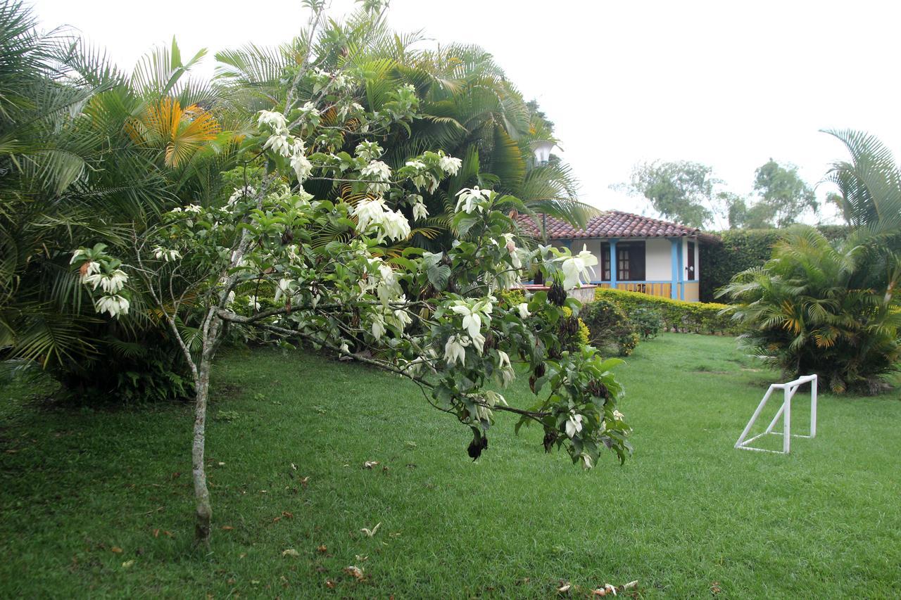Flor Blanca El Eden * Armenia (Quindio)